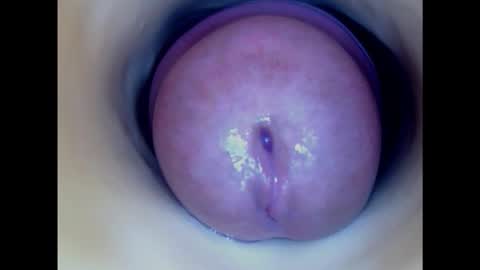 Snapshot of paulainoscente chatting on 6, 2, 2025 Paula 18 Aninhos online show from 6, 2, 2025