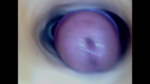 Snapshot of paulainoscente chatting on 6, 2, 2025 Paula 18 Aninhos online show from 6, 2, 2025