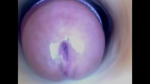 Snapshot of paulainoscente chatting on 8, 2, 2025 Paula 18 Aninhos online show from 8, 2, 2025