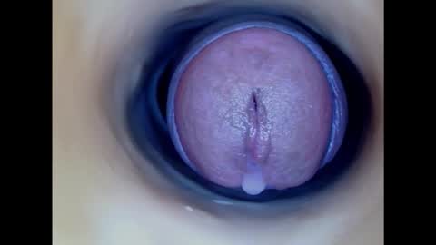 Snapshot of paulainoscente chatting on 8, 2, 2025 Paula 18 Aninhos online show from 8, 2, 2025