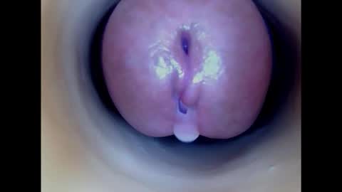 Snapshot of paulainoscente chatting on 8, 2, 2025 Paula 18 Aninhos online show from 8, 2, 2025