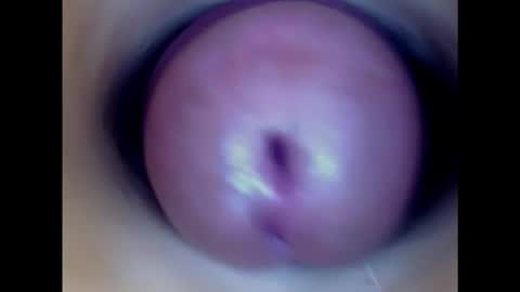 Snapshot of paulainoscente chatting on 11, 2, 2025 Paula 18 Aninhos online show from 11, 2, 2025