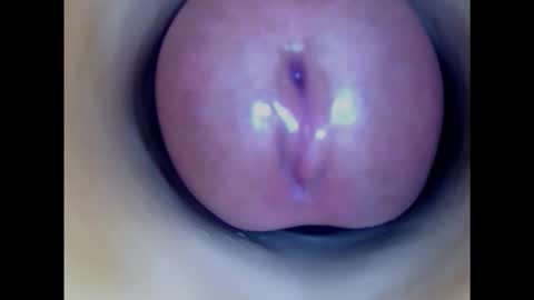 Snapshot of paulainoscente chatting on 12, 2, 2025 Paula 18 Aninhos online show from 12, 2, 2025