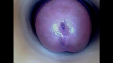 Snapshot of paulainoscente chatting on 14, 2, 2025 Paula 18 Aninhos online show from 14, 2, 2025