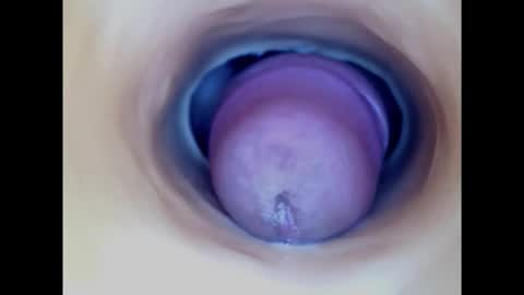 Snapshot of paulainoscente chatting on 16, 2, 2025 Paula 18 Aninhos online show from 16, 2, 2025