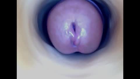 Snapshot of paulainoscente chatting on 16, 2, 2025 Paula 18 Aninhos online show from 16, 2, 2025