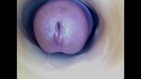 Snapshot of paulainoscente chatting on 19, 2, 2025 Paula 18 Aninhos online show from 19, 2, 2025