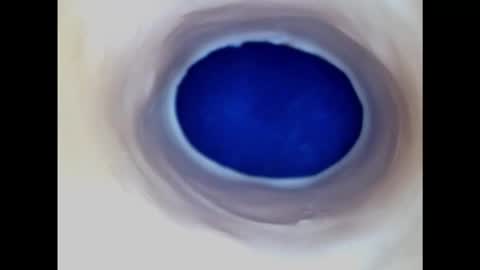 Snapshot of paulainoscente chatting on 20, 2, 2025 Paula 18 Aninhos online show from 20, 2, 2025