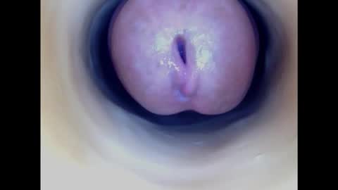 Snapshot of paulainoscente chatting on 21, 2, 2025 Paula 18 Aninhos online show from 21, 2, 2025