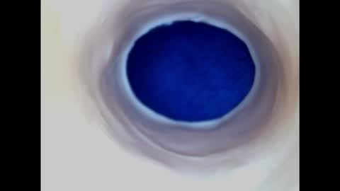 Snapshot of paulainoscente chatting on 22, 2, 2025 Paula 18 Aninhos online show from 22, 2, 2025