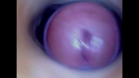 Snapshot of paulainoscente chatting on 24, 2, 2025 Paula 18 Aninhos online show from 24, 2, 2025