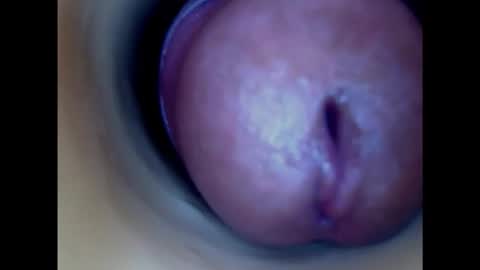 Snapshot of paulainoscente chatting on 24, 2, 2025 Paula 18 Aninhos online show from 24, 2, 2025