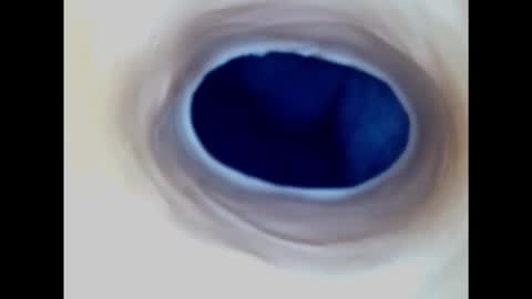 Snapshot of paulainoscente chatting on 2, 3, 2025 Paula 18 Aninhos online show from 2, 3, 2025