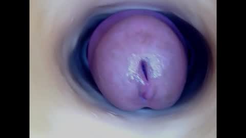 Snapshot of paulainoscente chatting on 2, 3, 2025 Paula 18 Aninhos online show from 2, 3, 2025