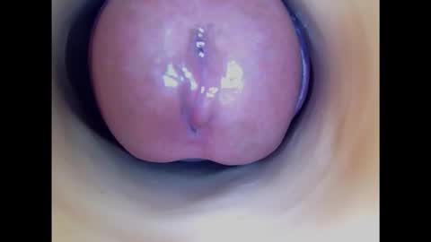 Snapshot of paulainoscente chatting on 2, 3, 2025 Paula 18 Aninhos online show from 2, 3, 2025