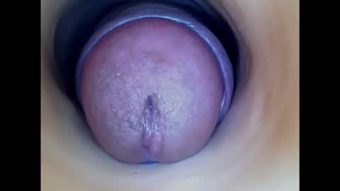 Snapshot of paulainoscente chatting on 12, 10, 2025 Paula 18 Aninhos online show from 12, 10, 2025