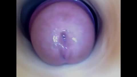 Snapshot of paulainoscente chatting on 14, 10, 2025 Paula 18 Aninhos online show from 14, 10, 2025