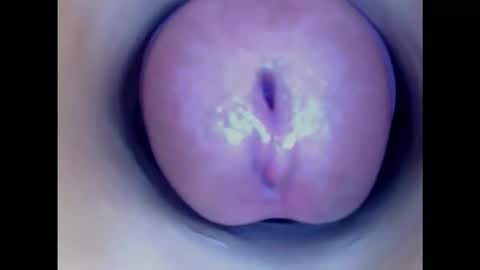 Snapshot of paulainoscente chatting on 19, 10, 2025 Paula 18 Aninhos online show from 19, 10, 2025