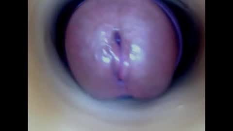 Snapshot of paulainoscente chatting on 21, 10, 2025 Paula 18 Aninhos online show from 21, 10, 2025