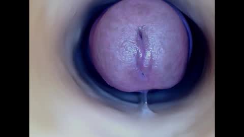 Snapshot of paulainoscente chatting on 5, 11, 2025 Paula 18 Aninhos online show from 5, 11, 2025