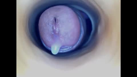 Snapshot of paulainoscente chatting on 19, 11, 2025 Paula 18 Aninhos online show from 19, 11, 2025