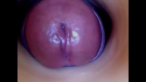 Snapshot of paulainoscente chatting on 20, 11, 2025 Paula 18 Aninhos online show from 20, 11, 2025