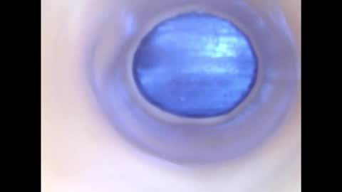 Snapshot of paulainoscente chatting on 2, 12, 2025 Paula 18 Aninhos online show from 2, 12, 2025