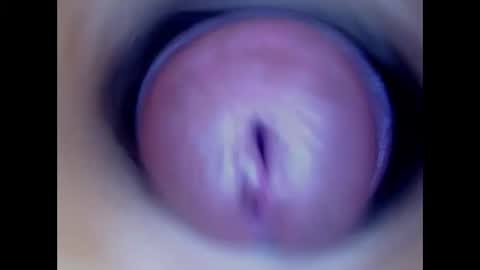 Paula 18 Aninhos online show from 12, 1, 2026