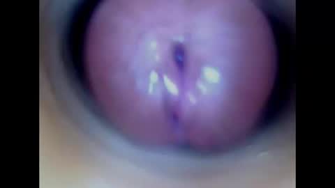 Paula 18 Aninhos online show from 9, 7, 2026