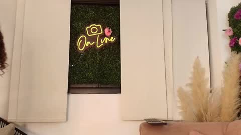 PAU  online show from 29, 11, 2025