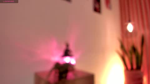 Snapshot of pawggirl18 chatting on 2, 6, 2026 Dani online show from 2, 6, 2026