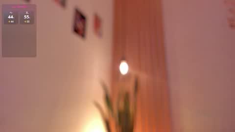 Snapshot of pawggirl18 chatting on 19, 6, 2026 Dani online show from 19, 6, 2026