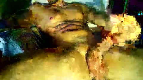 pax23s online show from 17, 2, 2026