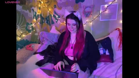 payyourprincessjess online show from 8, 1, 2025