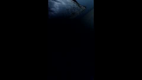 Snapshot of pedrjhon982 chatting on 23, 3, 2026 pedrjhon982 online show from 23, 3, 2026