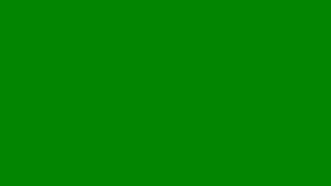 pedro________8 online show from 3, 5, 2026