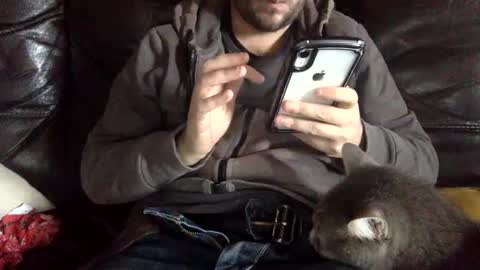 Snapshot of pedrotheamateur chatting on 3, 12, 2024 pedrotheamateur online show from 3, 12, 2024