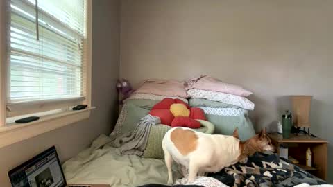 pegggggysue69 online show from 20, 3, 2026