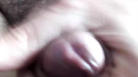 Snapshot of peiboluna chatting on 11, 2, 2025 peiboluna online show from 11, 2, 2025