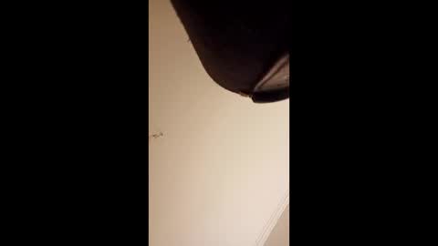 pelekenone online show from 1, 4, 2026