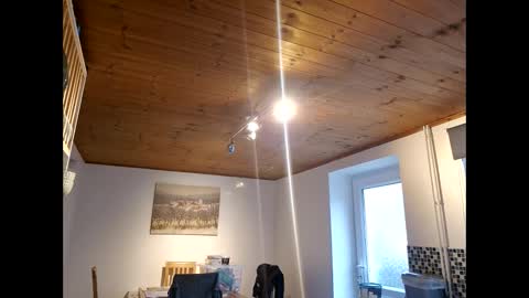 pete_le_meat online show from 12, 3, 2026