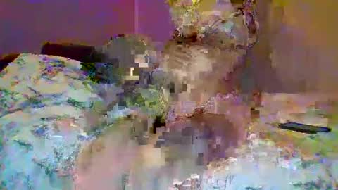 petite_baby23 online show from 23, 5, 2026