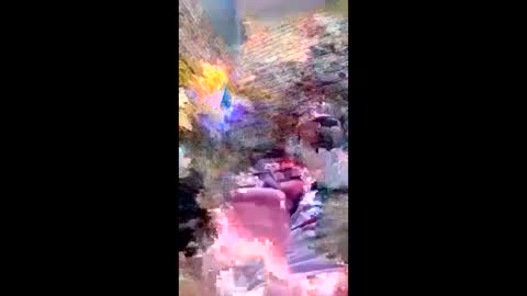 pezzabigcock online show from 17, 2, 2026