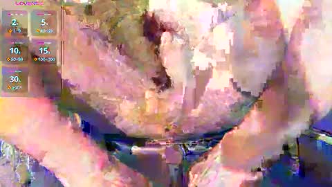 phil_up online show from 11, 1, 2026