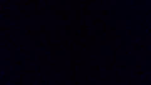 pickledalivemrf online show from 19, 2, 2026