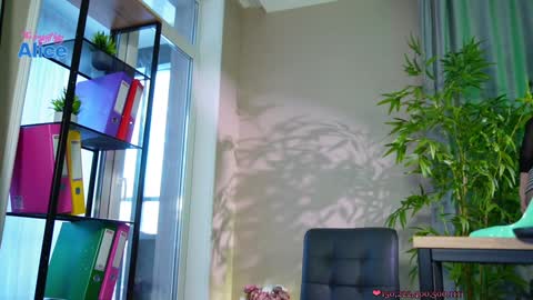 Alice   online show from 20, 12, 2024