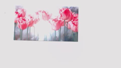 pinky_f00x online show from 28, 3, 2026