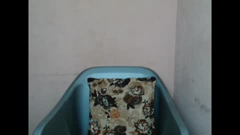 pinkyxxpussy online show from 8, 2, 2026