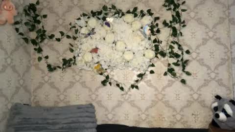 Snapshot of pinochetti chatting on 17, 2, 2026 Incubus online show from 17, 2, 2026