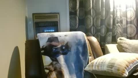 Snapshot of pirate334 chatting on 7, 1, 2026 pirate334 online show from 7, 1, 2026